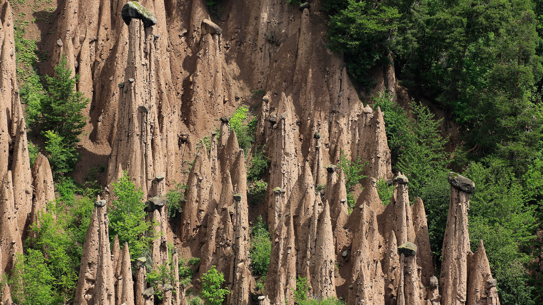 Earth Pyramids in Perca - OLM Nature Escape