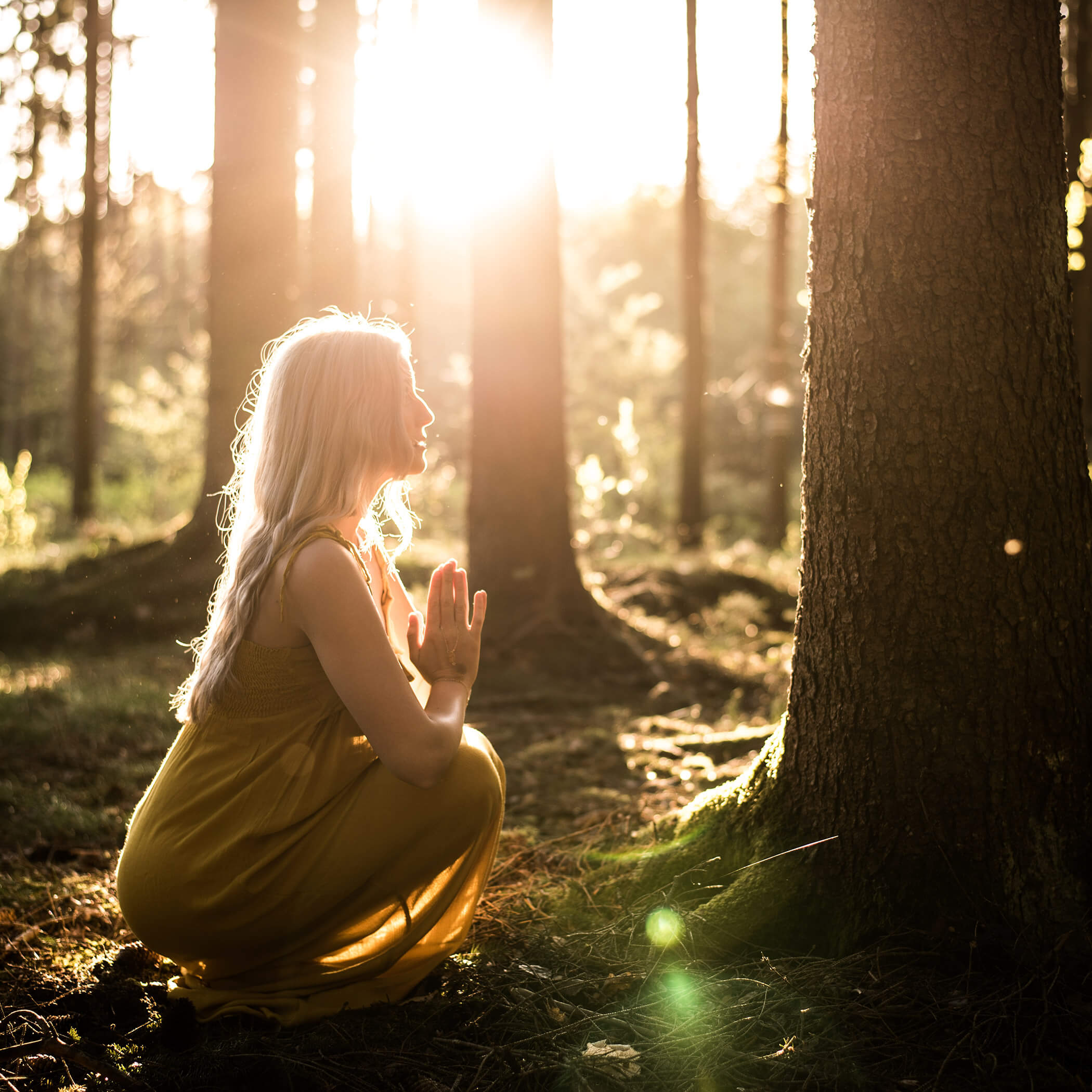 Donna che medita nella foresta - OLM Nature Escape