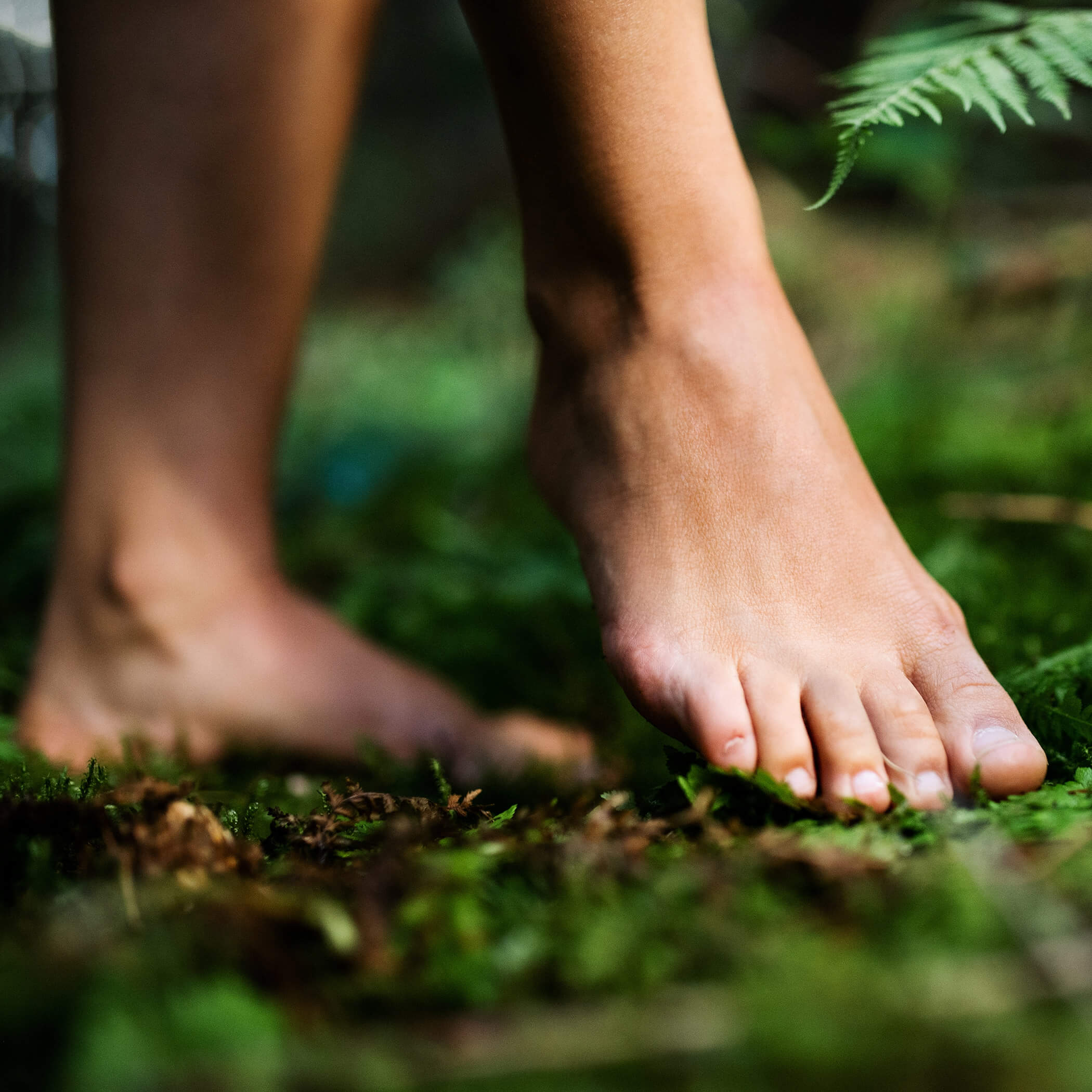 Barfuß im Wald - OLM Nature Escape