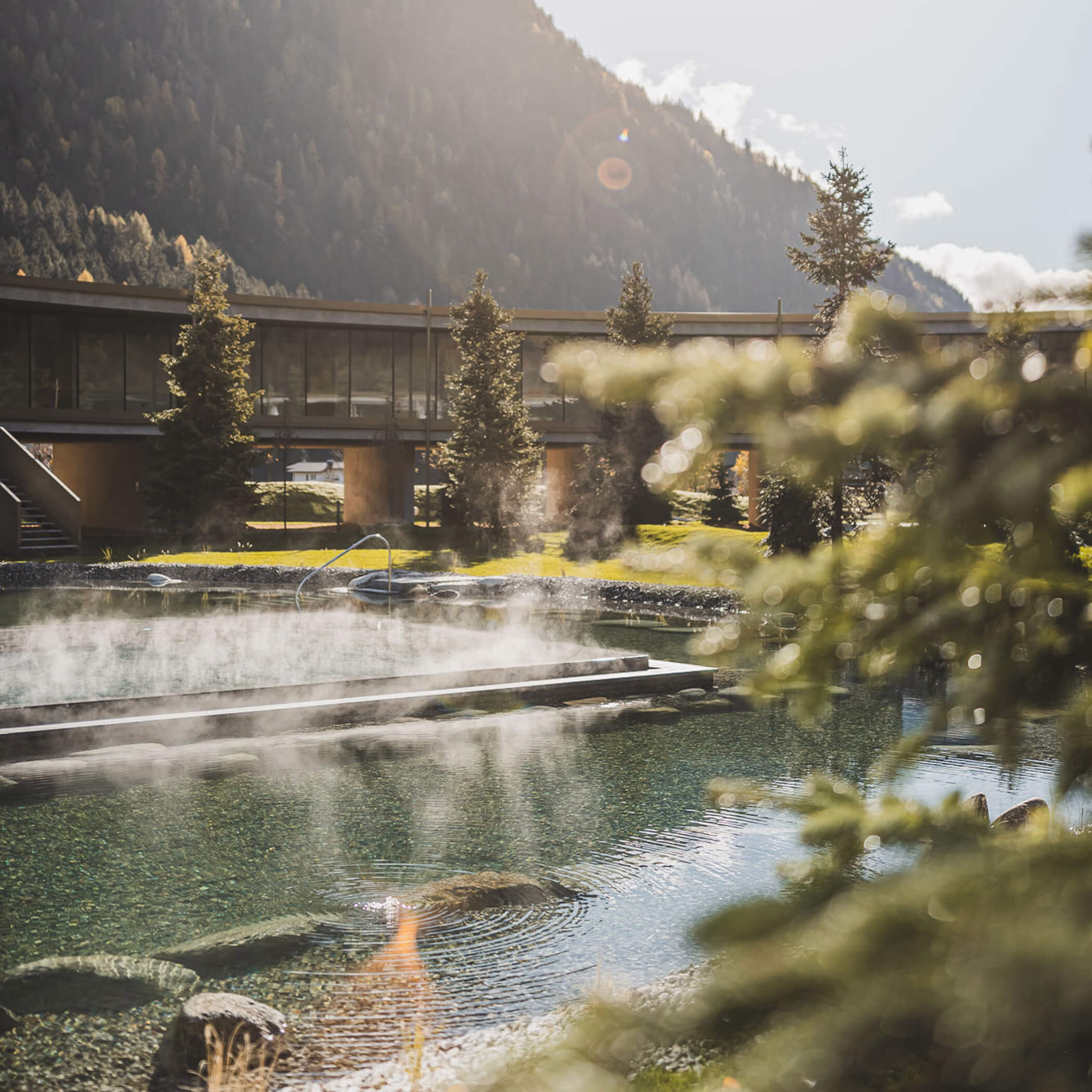 Courtyard with pool, natural swimming pond and garden - OLM Nature Escape